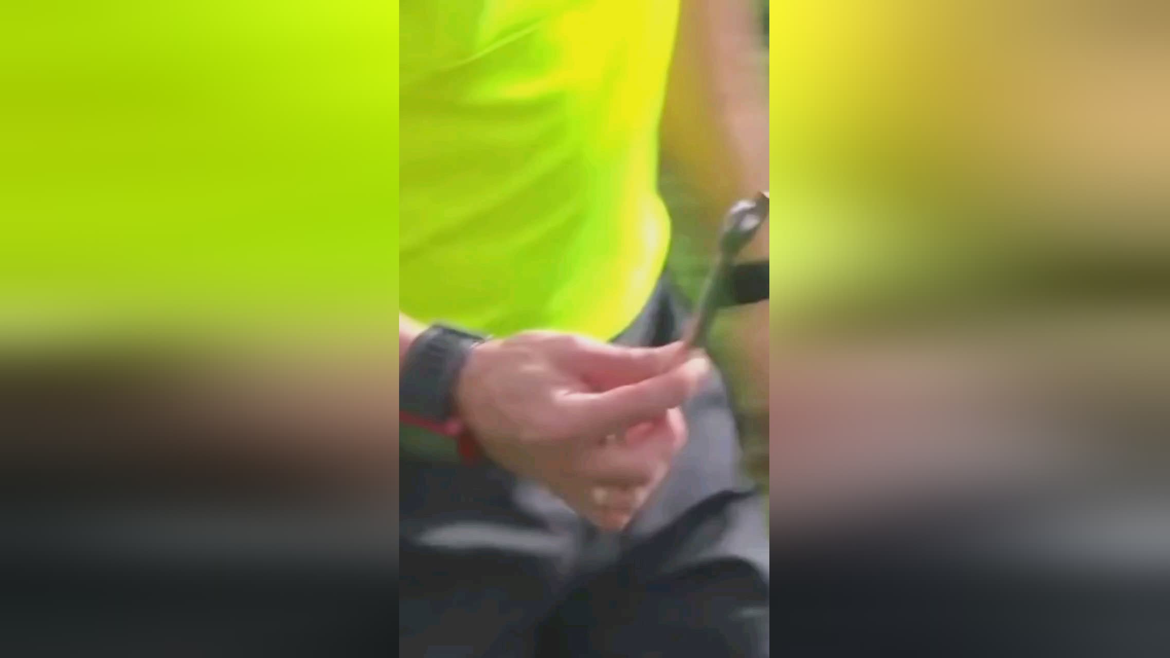这一